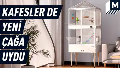 Akıllı Kuş Kafesi: Reli Birddy ile Kuşlarınız Daha Mutlu!
